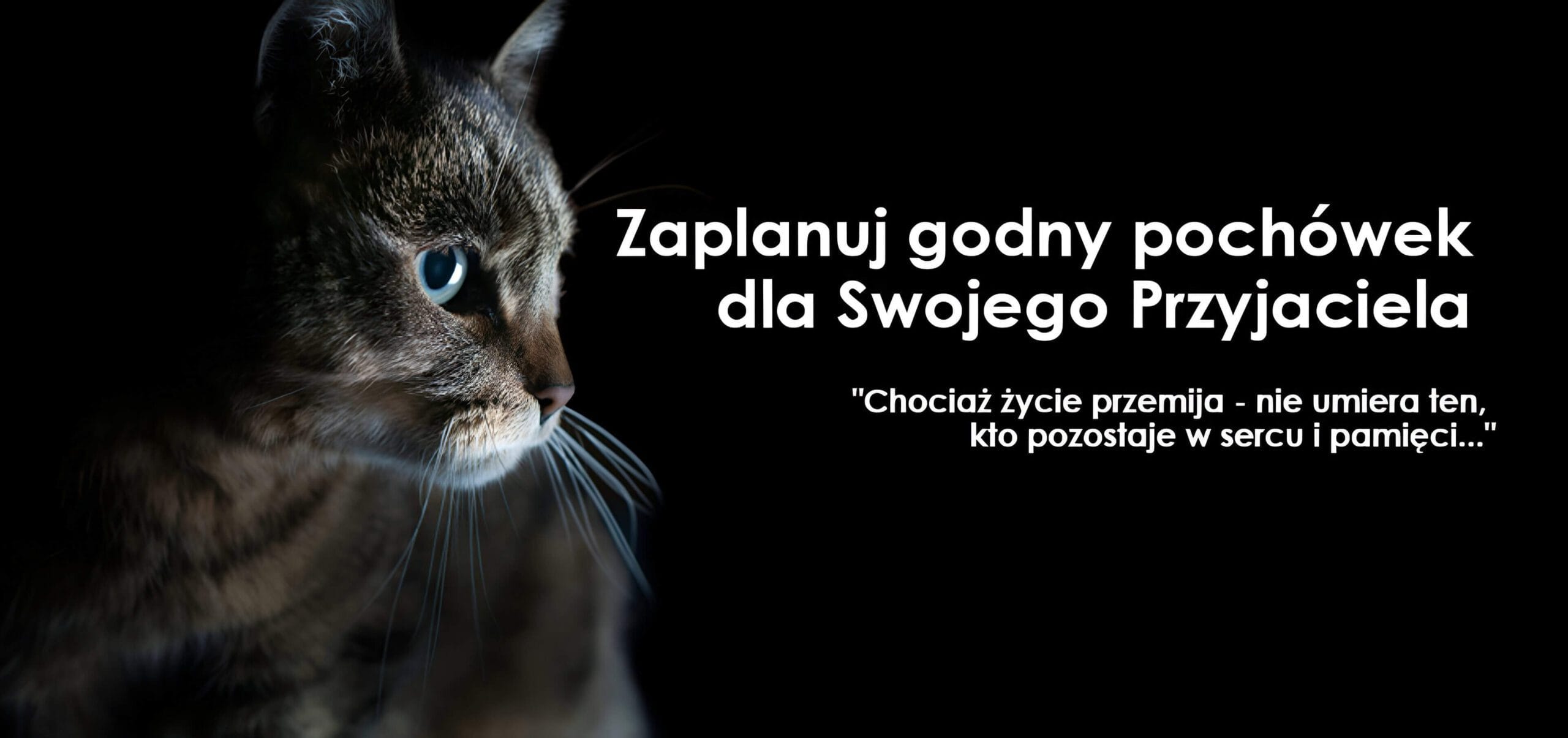 Za tęczowym mostem
